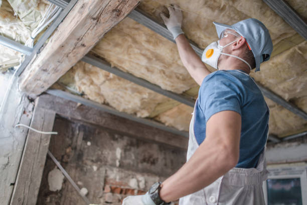 Best Residential Insulation in Leonardtown, MD