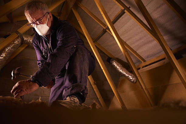 Best Insulation Installation Services in Leonardtown, MD